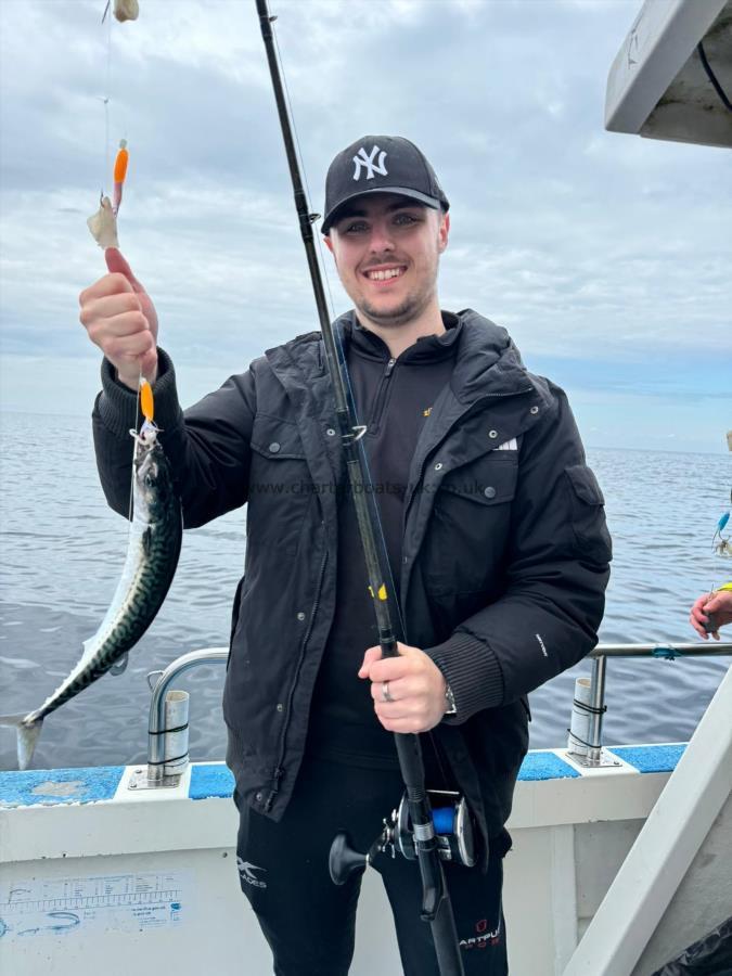 1 lb Mackerel by Unknown