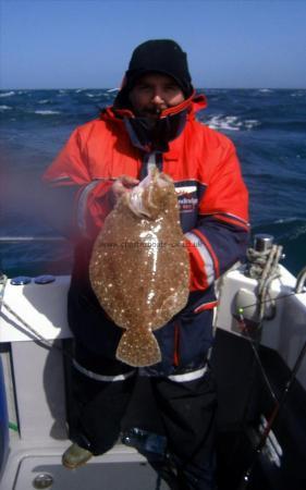 3 lb 10 oz Brill by Zed