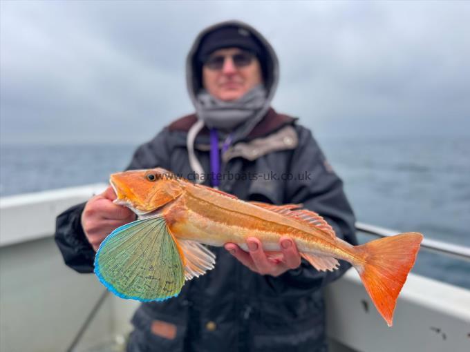 2 lb 12 oz Tub Gurnard by Steve Preddy