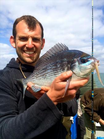 1 lb 8 oz Black Sea Bream by Dan Gale