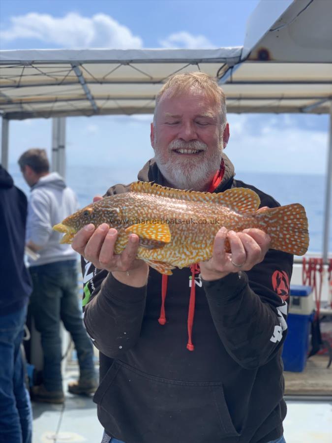 3 lb 6 oz Ballan Wrasse by Steve