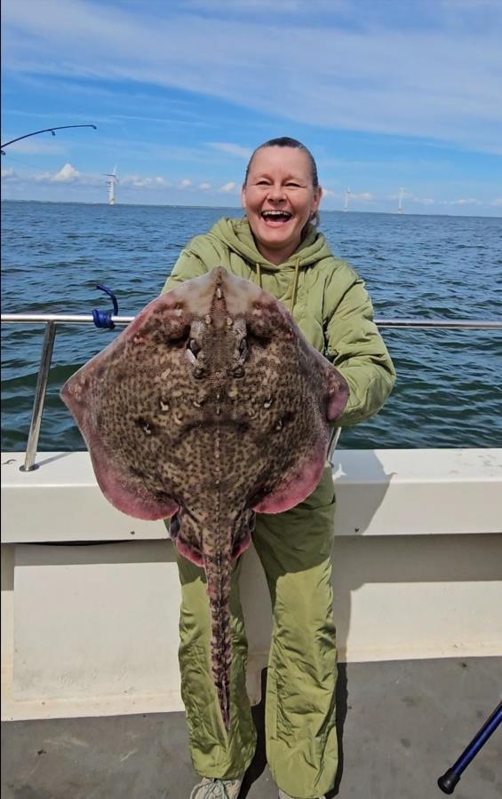 13 lb 3 oz Thornback Ray by Nicky