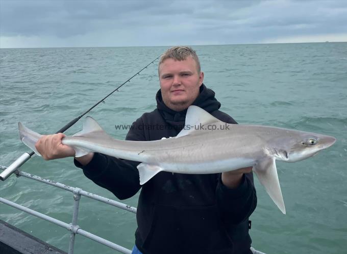 10 lb Smooth-hound (Common) by Unknown