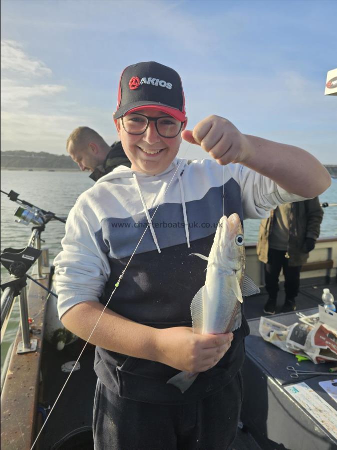 1 lb Whiting by Harry