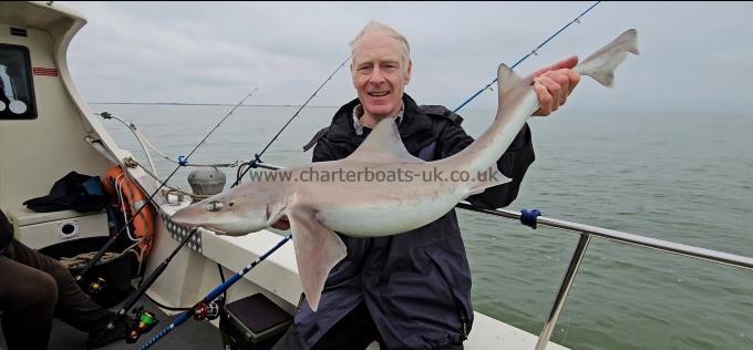 12 lb 8 oz Smooth-hound (Common) by Tony