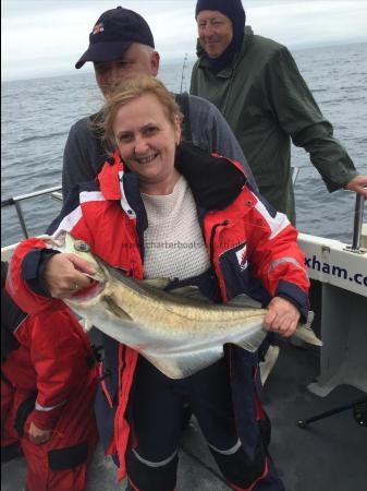 9 lb 8 oz Pollock by Liz Childs