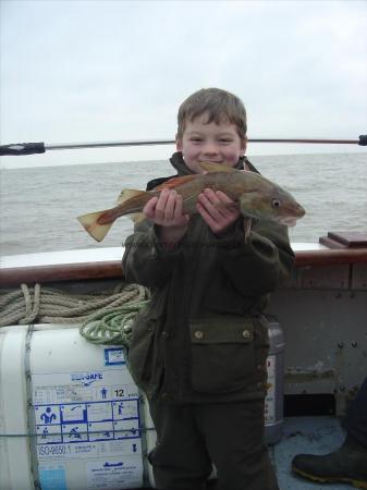 3 lb Cod by GEORGE STANLEY