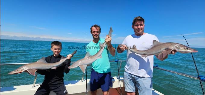 10 lb 3 oz Starry Smooth-hound by Ross