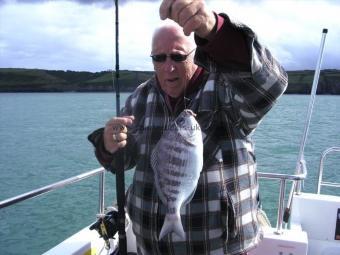 2 lb Black Sea Bream by Unknown