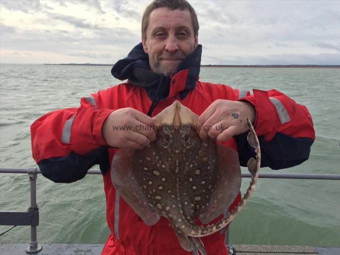 4 lb 7 oz Thornback Ray by Unknown