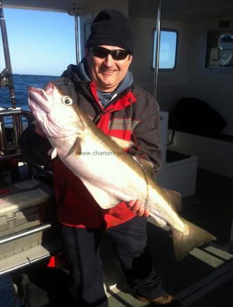 12 lb 14 oz Pollock by Jamie