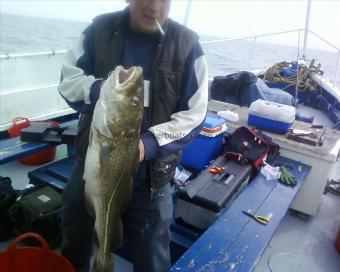 17 lb Cod by Unknown