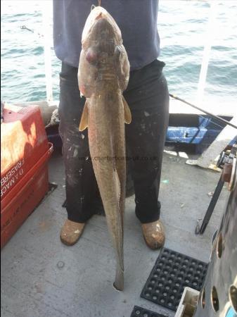 22 lb Ling (Common) by Unknown