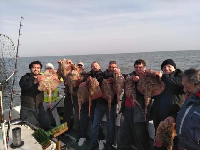 10 lb Thornback Ray by Unknown