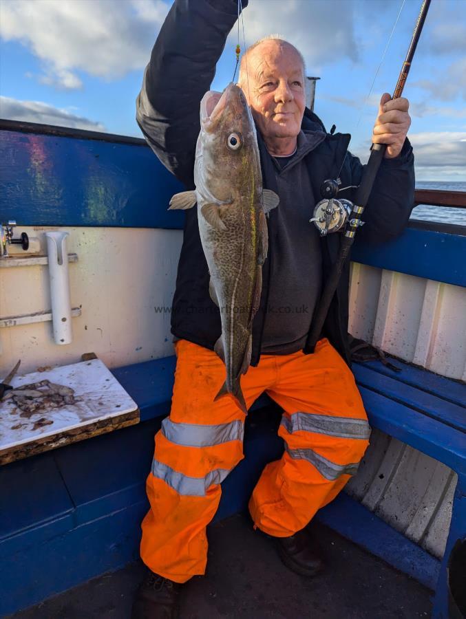 5 lb Cod by Unknown