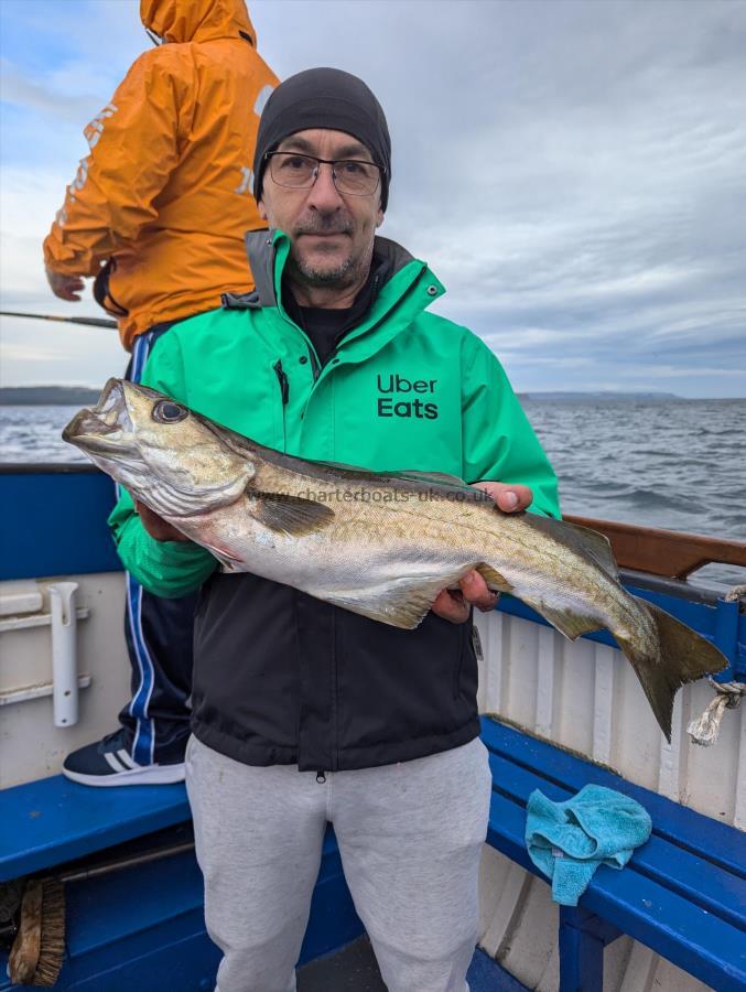 5 lb 6 oz Pollock by Unknown