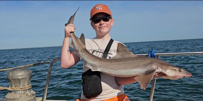 9 lb 14 oz Starry Smooth-hound by Jack