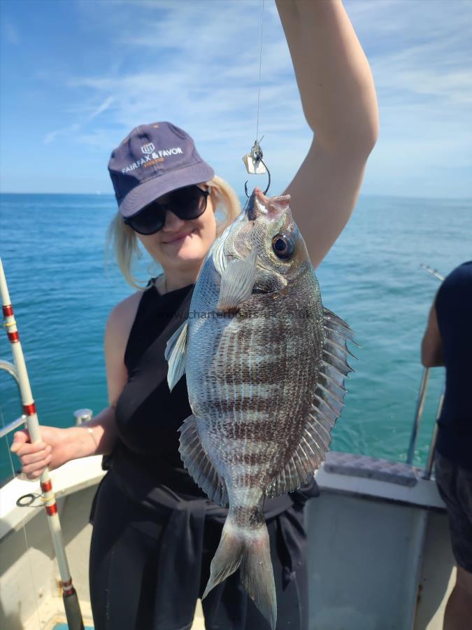 2 lb 4 oz Black Sea Bream by Emily