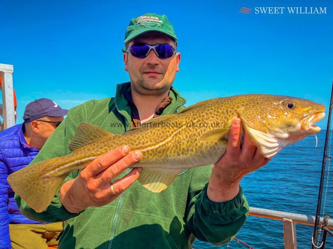 8 lb 5 oz Cod by Peter