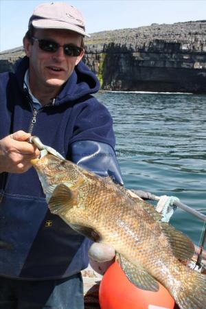 4 lb 7 oz Ballan Wrasse by Jean-Yves from cote d'armor