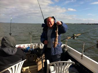 1 lb 10 oz Lesser Spotted Dogfish by Dad of Shaun