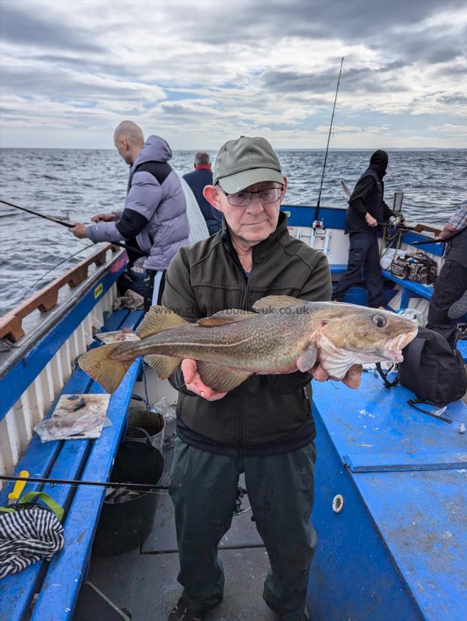 6 lb 8 oz Cod by Unknown