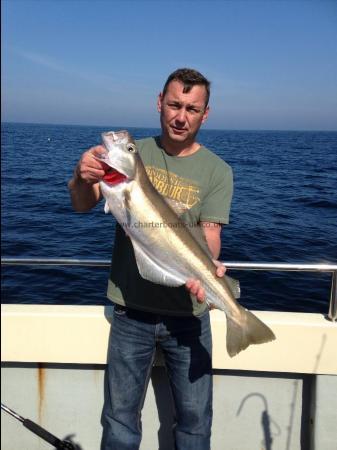 12 lb 3 oz Pollock by Daryl Acreman