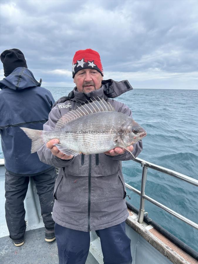 2 lb 11 oz Black Sea Bream by Unknown