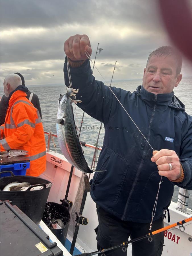 1 lb 5 oz Mackerel by Sam.