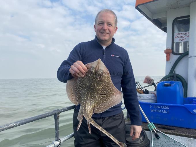 5 lb Thornback Ray by Unknown