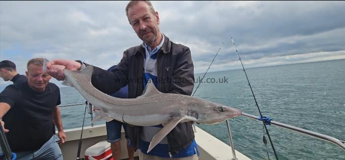 9 lb 6 oz Starry Smooth-hound by Mick