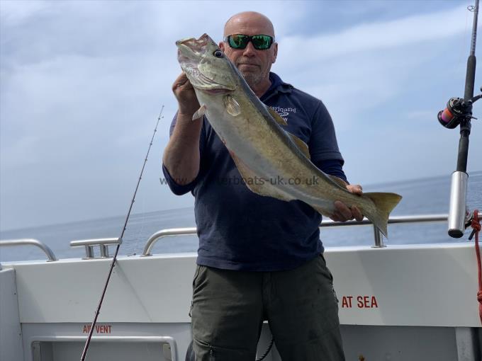 12 lb 8 oz Pollock by Unknown