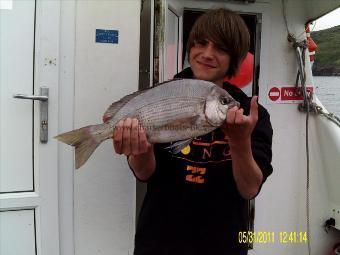 3 lb 12 oz Black Sea Bream by not known