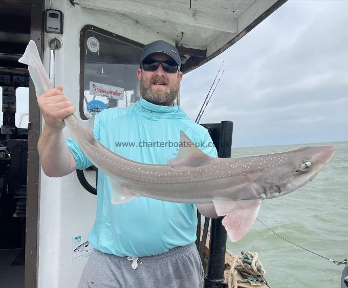 9 lb Smooth-hound (Common) by Unknown