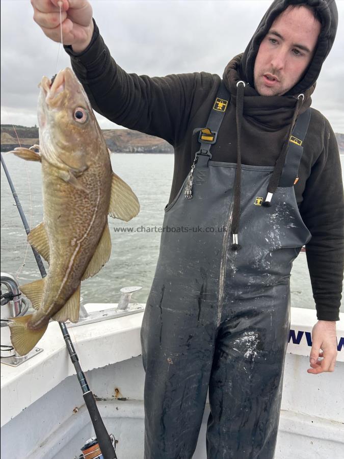 3 lb 10 oz Cod by Fergus.