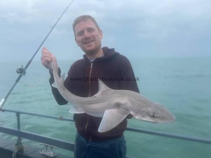 8 lb Smooth-hound (Common) by Unknown