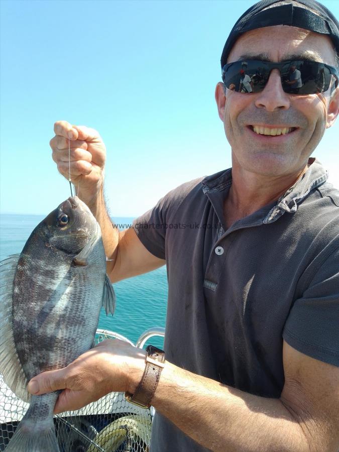 8 oz Black Sea Bream by Unknown