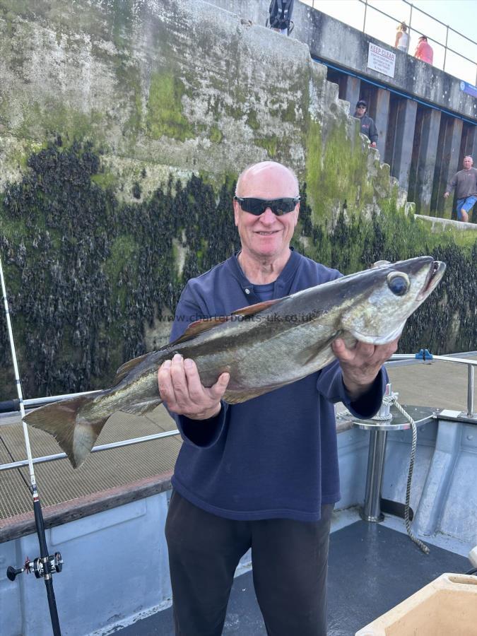 7 lb 8 oz Pollock by Adrian