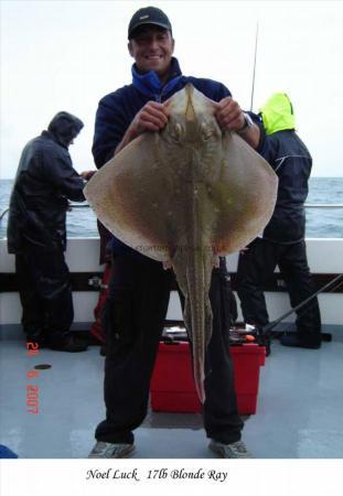 17 lb Blonde Ray by Noel Luck