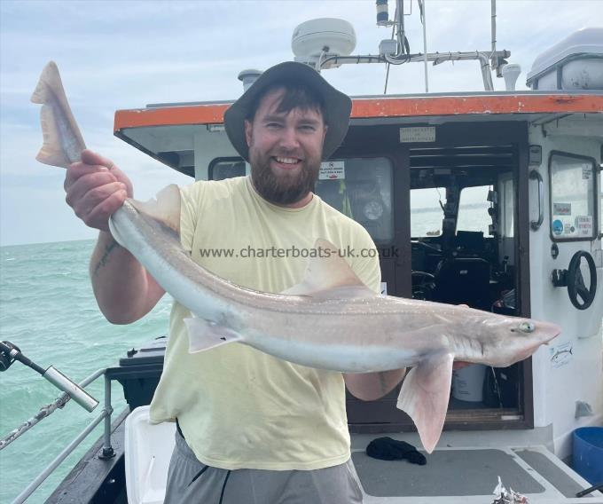 8 lb Starry Smooth-hound by Unknown