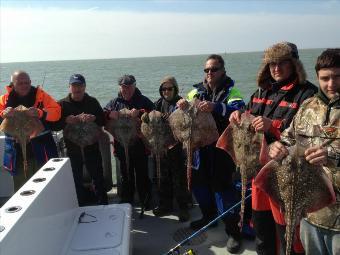 11 lb 5 oz Thornback Ray by 7 of 20 thornbacks biggest 11.5lb