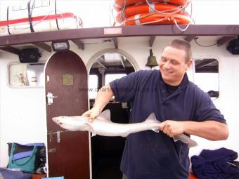 9 lb Smooth-hound (Common) by nick lay