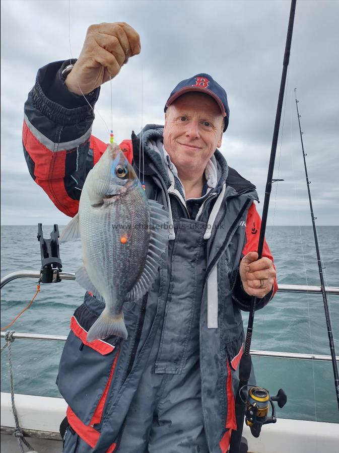 2 lb Black Sea Bream by Adrian