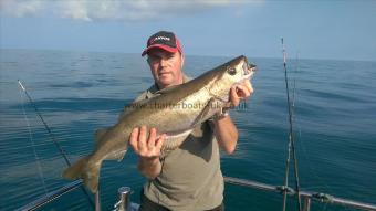 10 lb Pollock by Anthony Parry