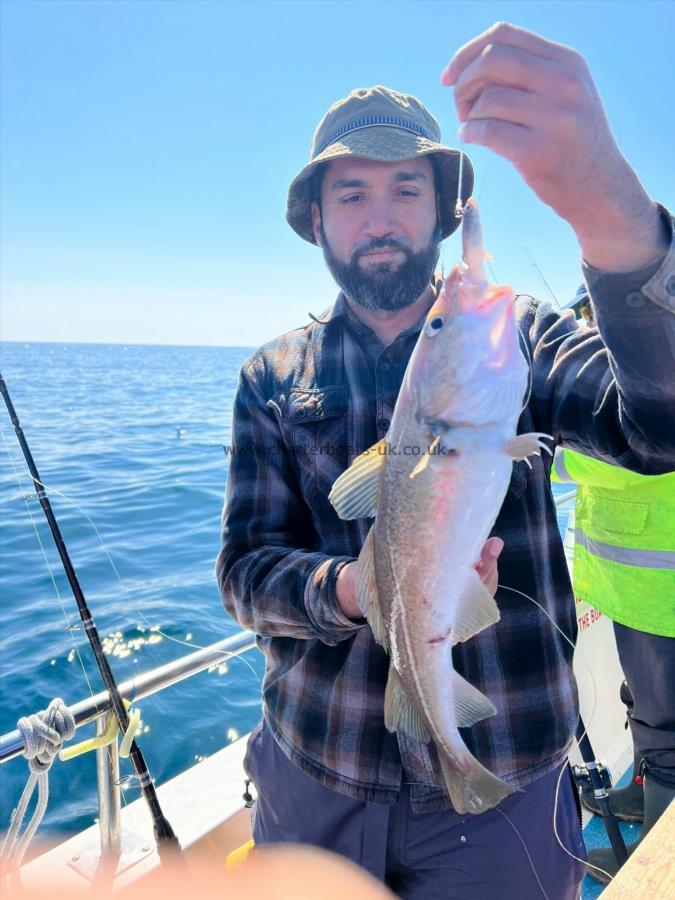 4 lb Cod by Nazir.