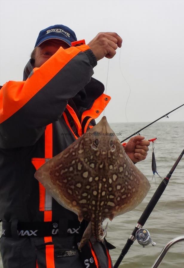 3 lb 1 oz Thornback Ray by Dave