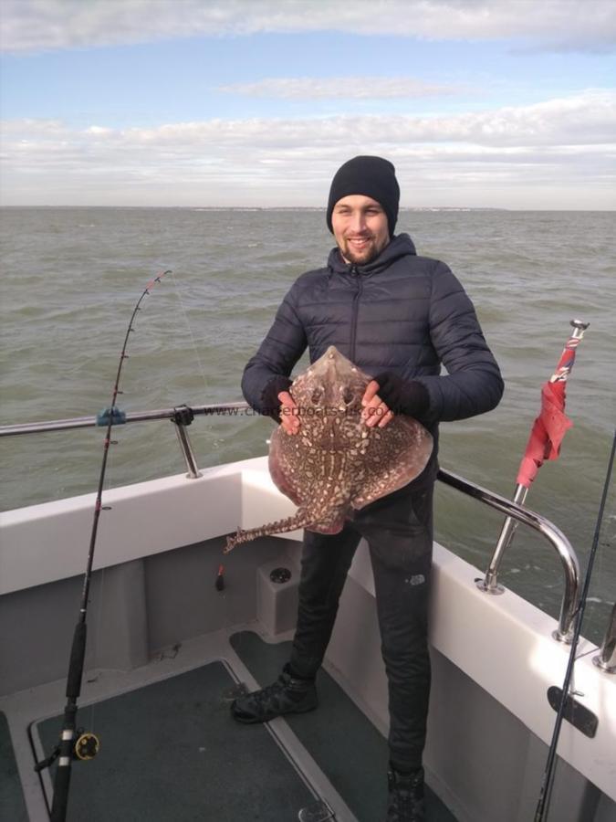 8 lb Thornback Ray by Unknown