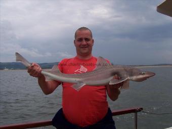 12 lb 2 oz Starry Smooth-hound by Steve Webb