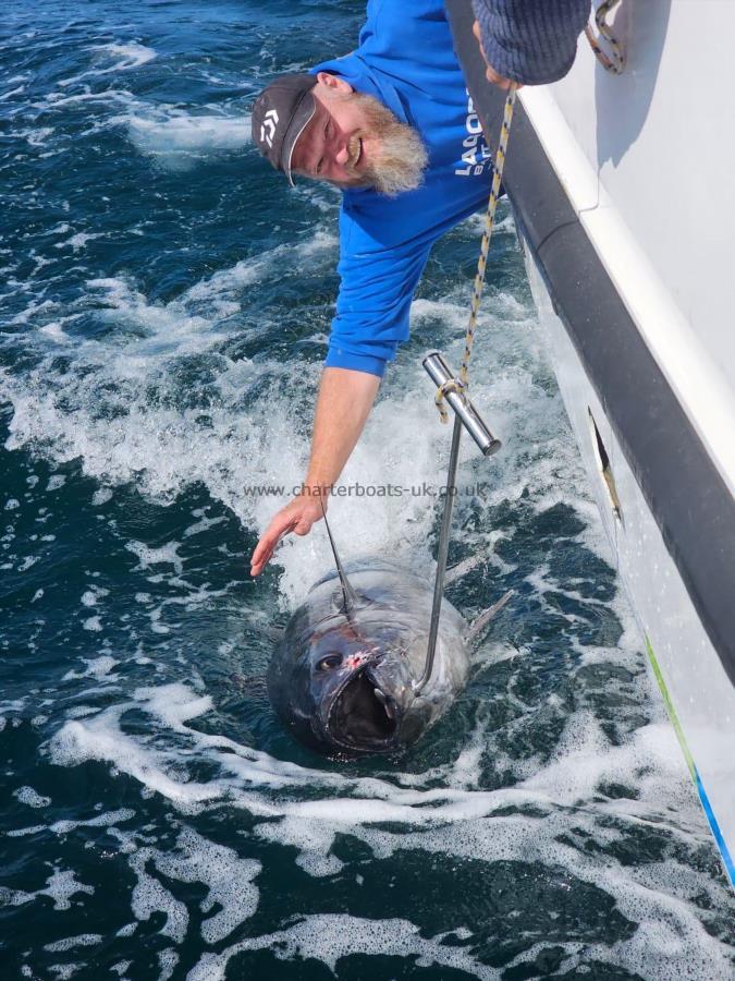 275 lb Bluefin Tuna by Unknown