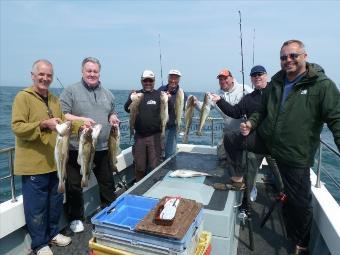 7 lb Cod by Bob Marshall